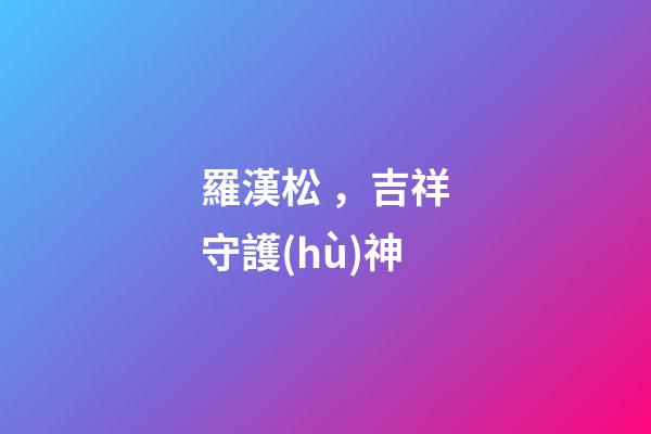 羅漢松，吉祥守護(hù)神